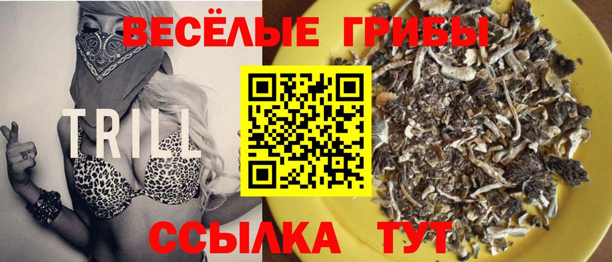 Вышний Волочёк  Псилоцибиновые грибы прущие грибы  Вход с VPN  Галлюциногенные грибы Cubensis 